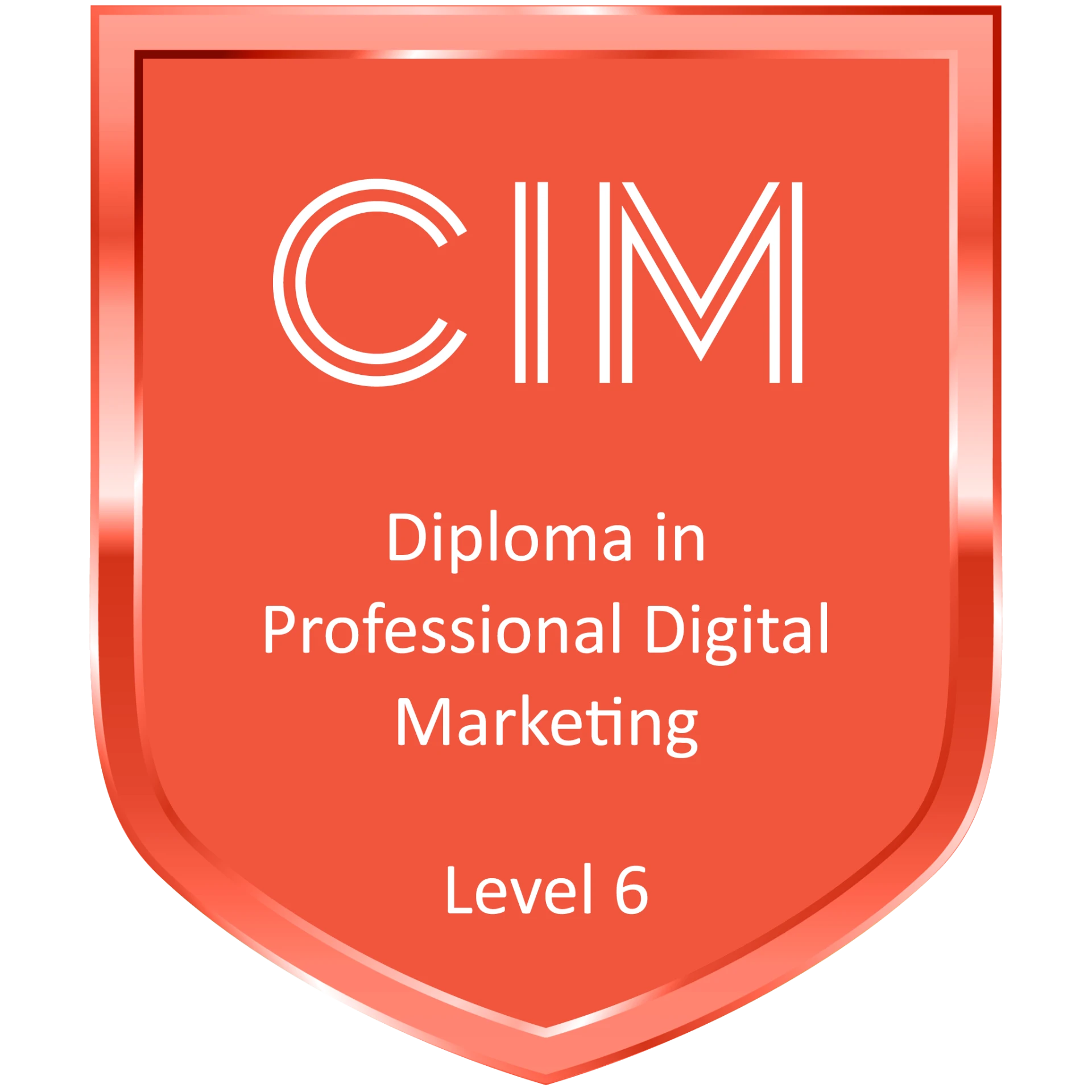 CIM Level 6 Diploma in Professional Digital Marketing digital badge